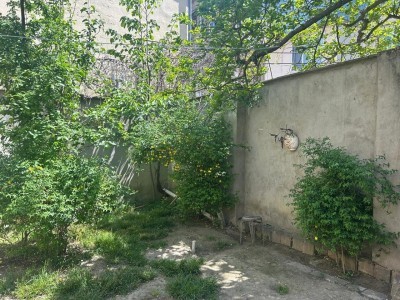 image 375057
