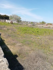 image 375070