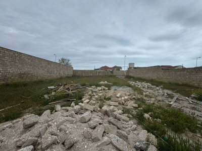 image 375129