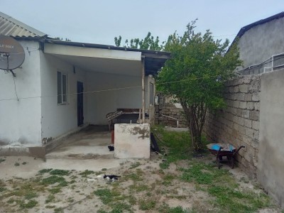 image 375139