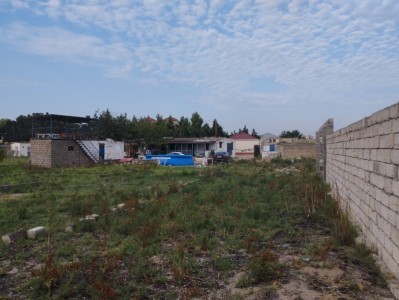 image 375174
