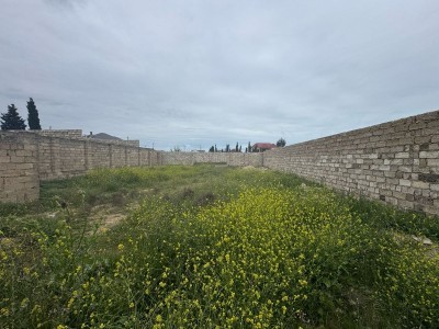 image 375192