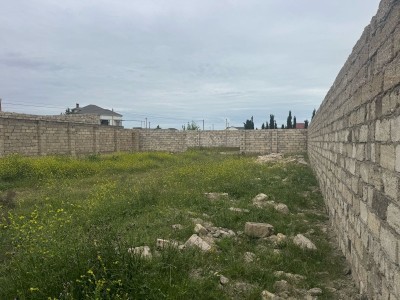 image 375192