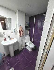 image 375219