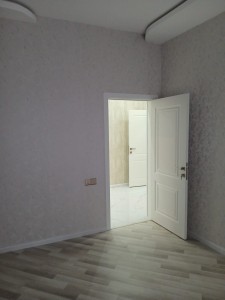 image 375231