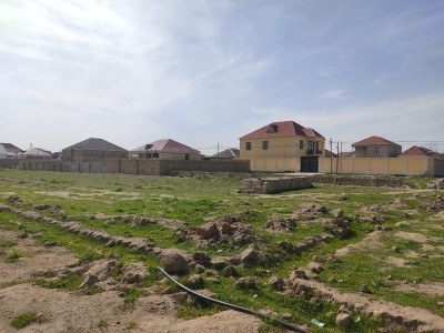 image 375251
