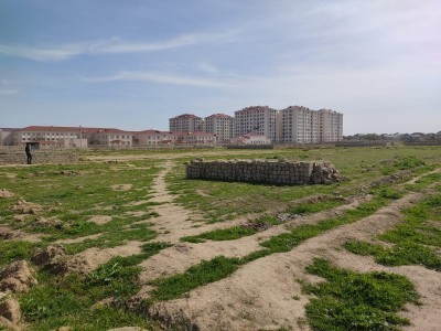 image 375251