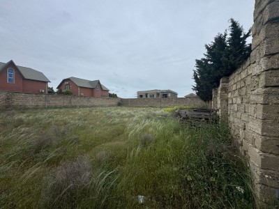 image 375265