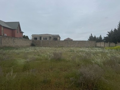 image 375265
