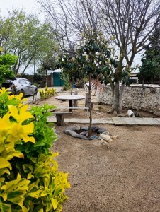 image 375317