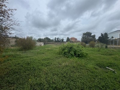 image 375320