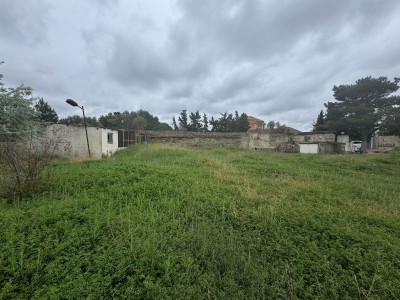image 375320