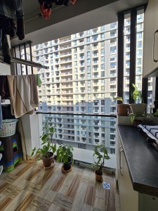 image 375379