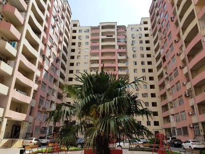 image 375381