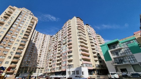image 375381