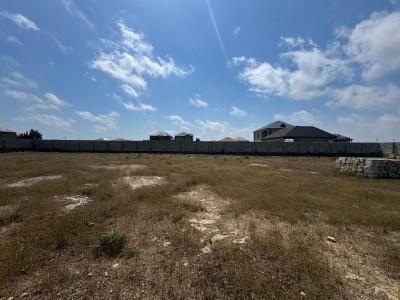 image 375394