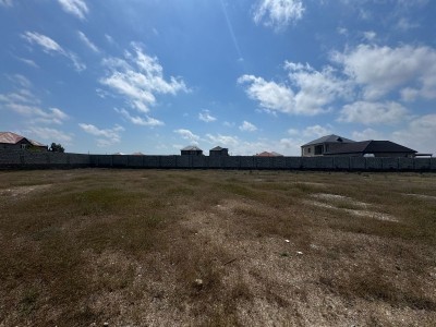 image 375394