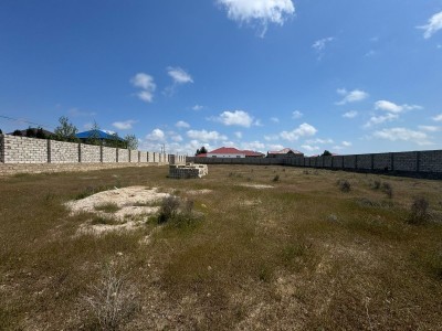 image 375394