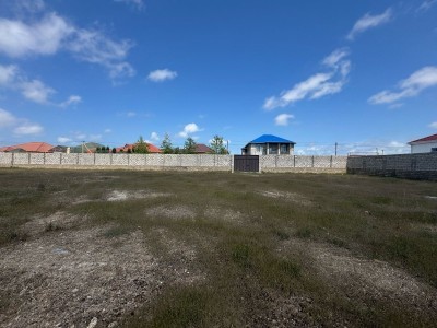 image 375394