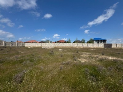 image 375394