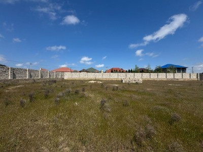 image 375394