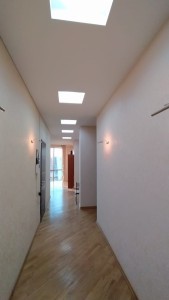 image 375402