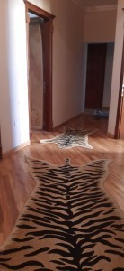 image 375498
