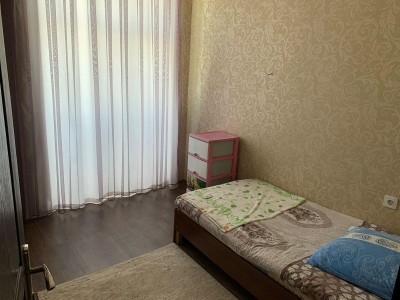 image 375504