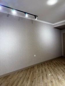 image 375549
