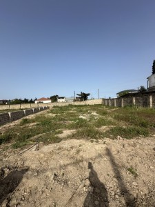 image 375565