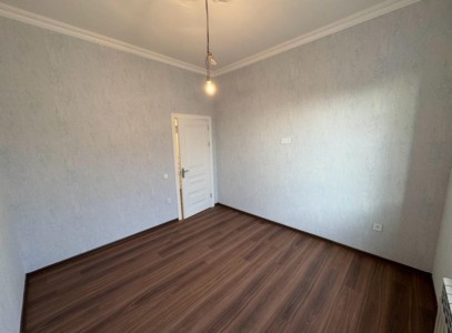 image 375716