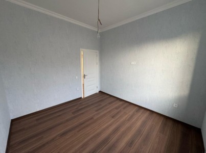 image 375716