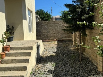 image 375717