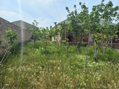 image 375718