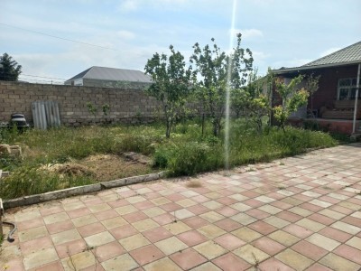 image 375718