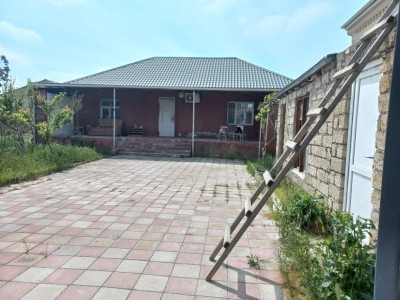 image 375718