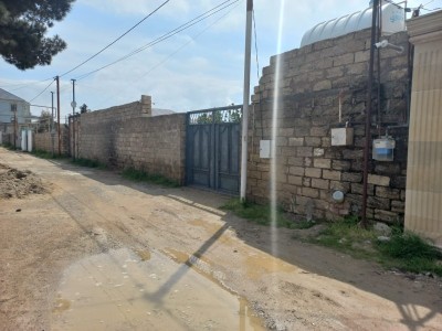 image 375718