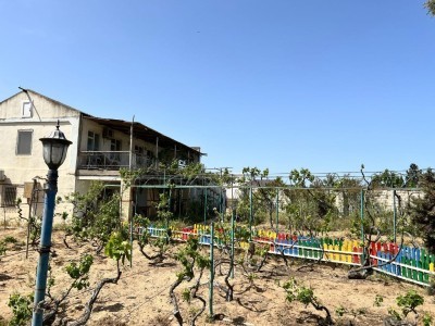 image 375731