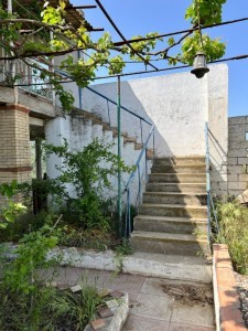 image 375731