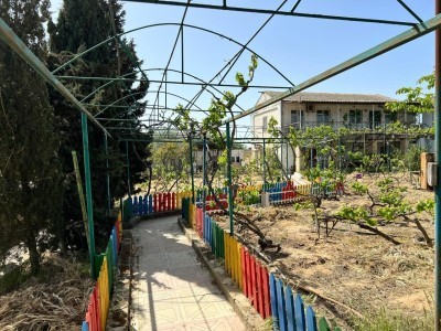 image 375731