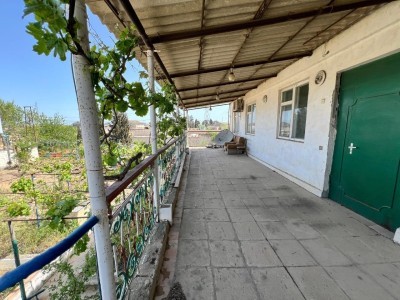image 375731
