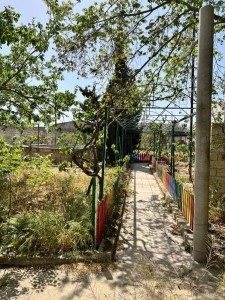 image 375731
