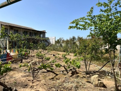 image 375731
