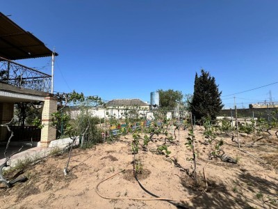 image 375731