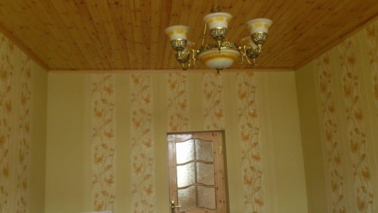 image 375745