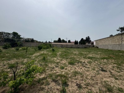 image 375754