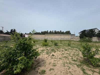 image 375754