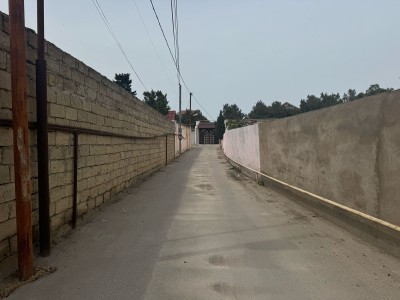 image 375754