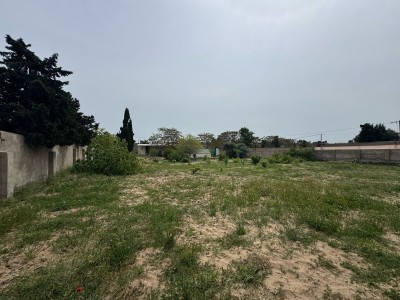 image 375754