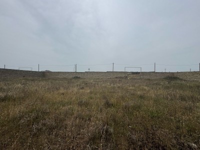 image 375760